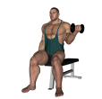 Dumbbell Curl - Seated Inner Alternate